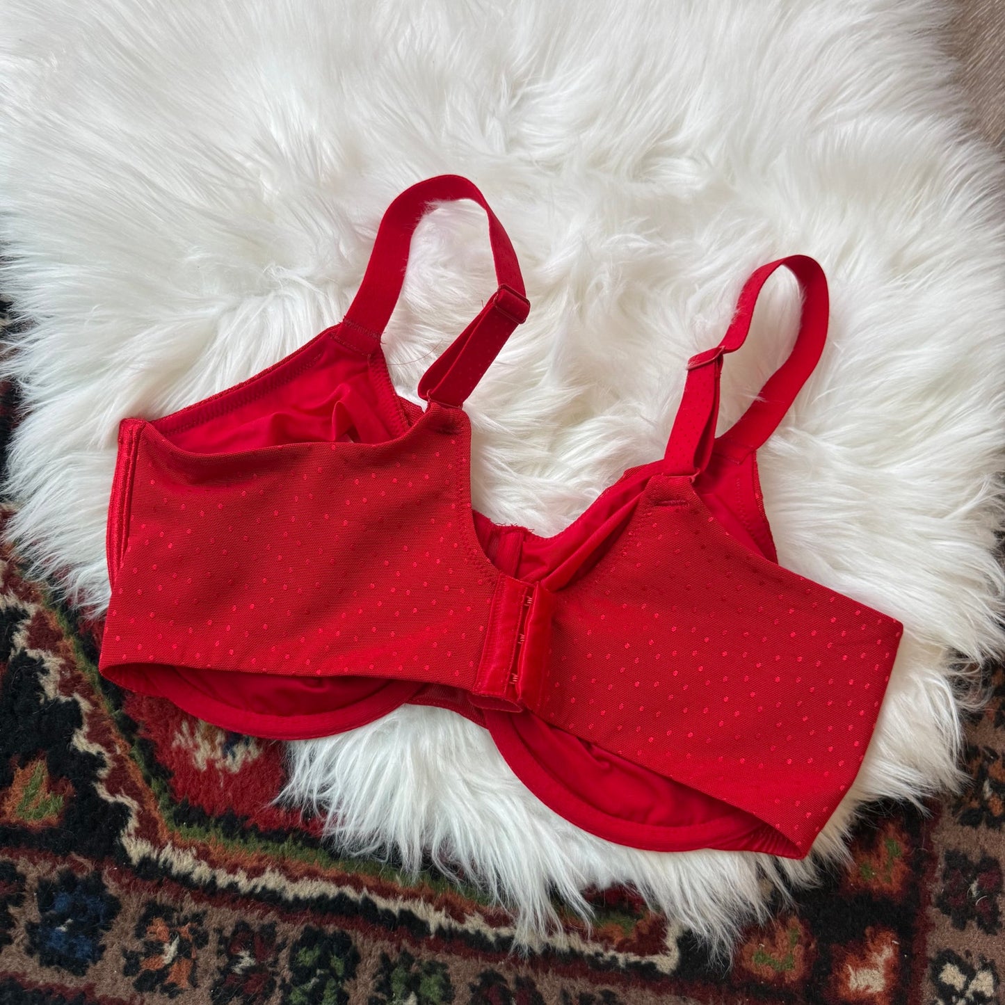Wacoal Red T Shirt Bra - 36G