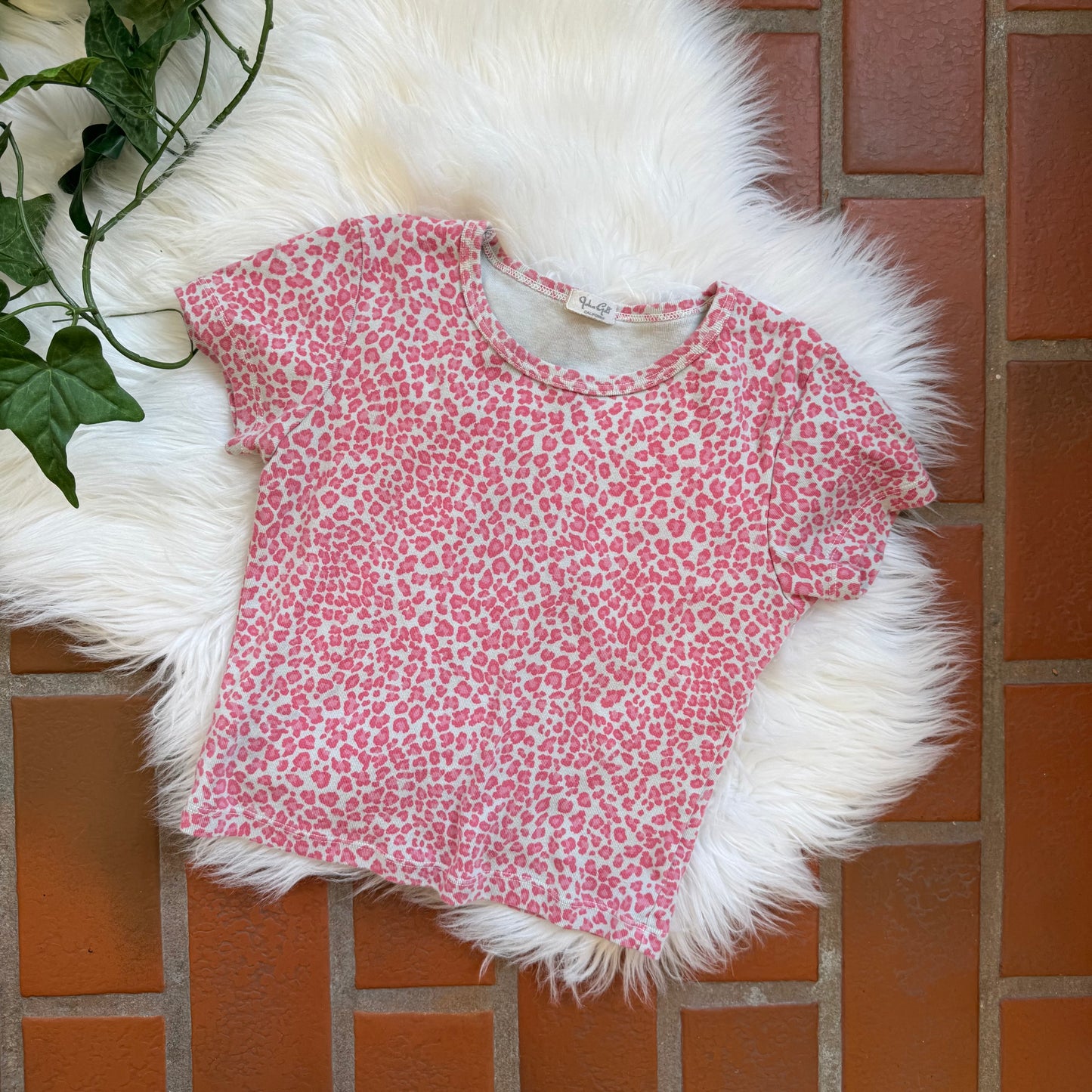Brandy Melville Retired Pink Cheetah Crop Tee