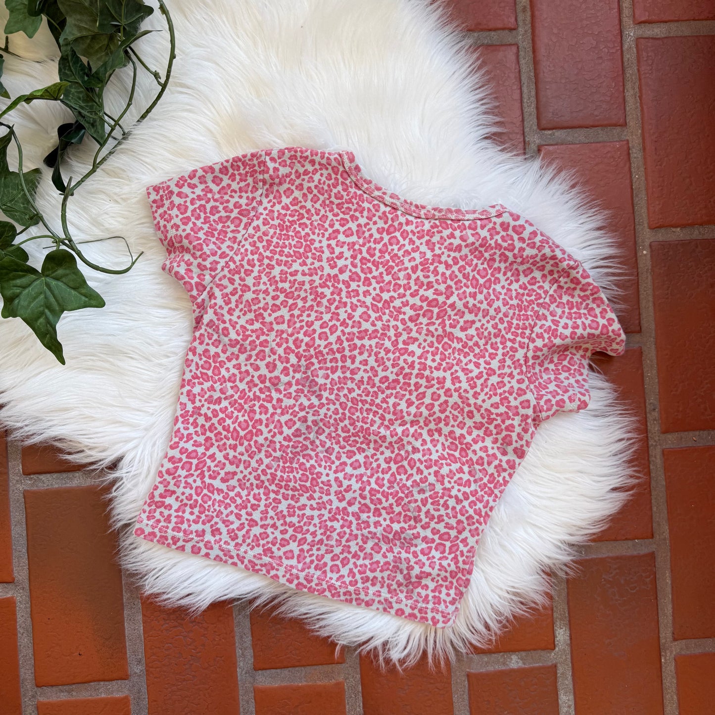Brandy Melville Retired Pink Cheetah Crop Tee