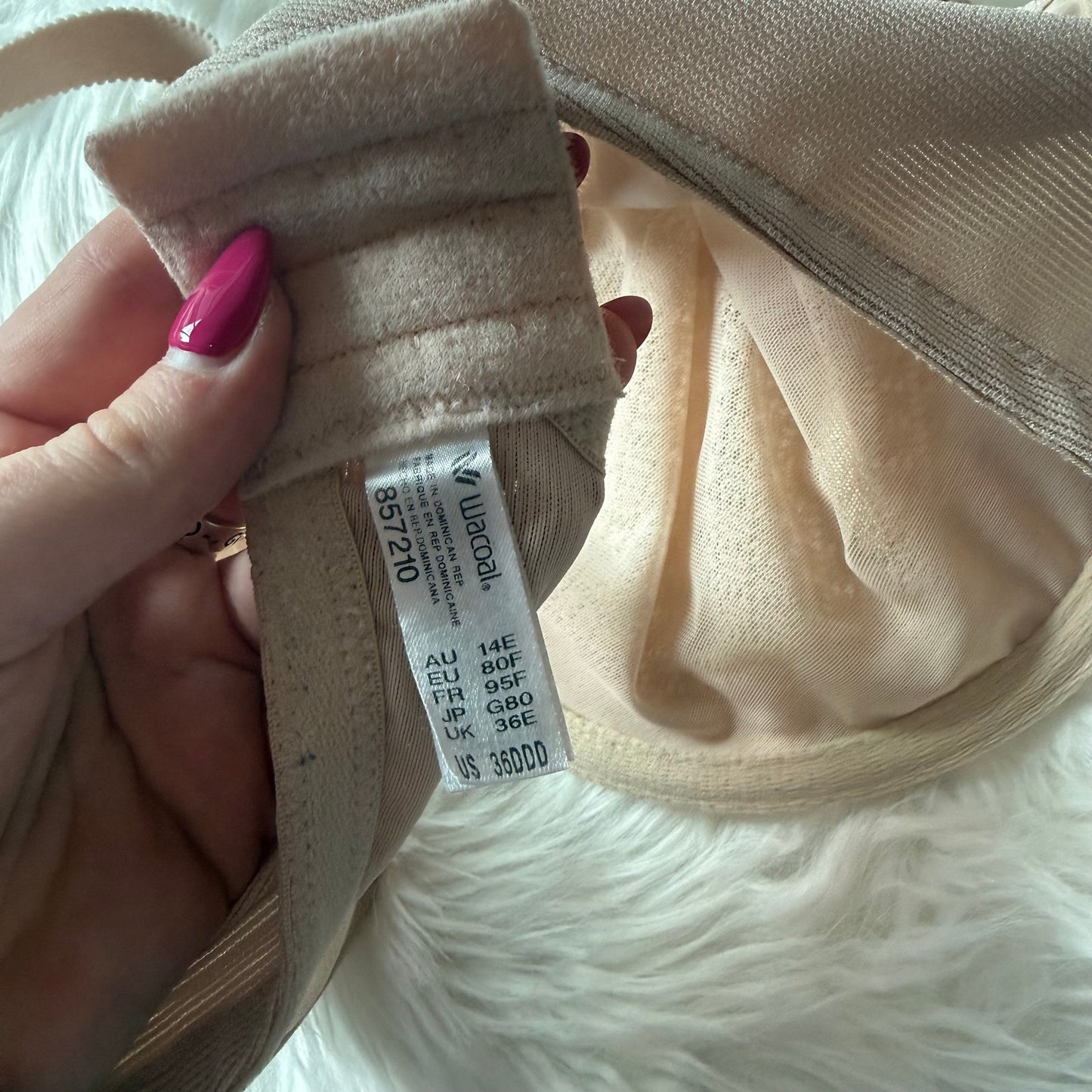 Wacoal Beige Lace T Shirt Bra - 36DDD